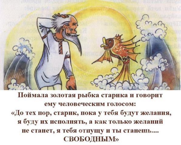 Цитаты про золотых рыбок Цитаты про золотых рыбок
