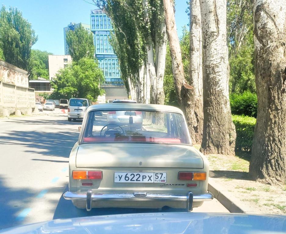 6a2d73dba693b.jpg