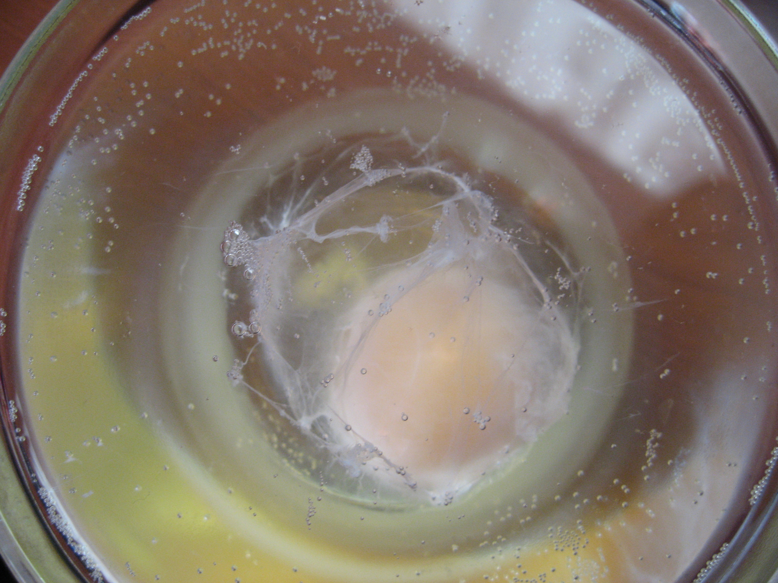 Яйцо при порче